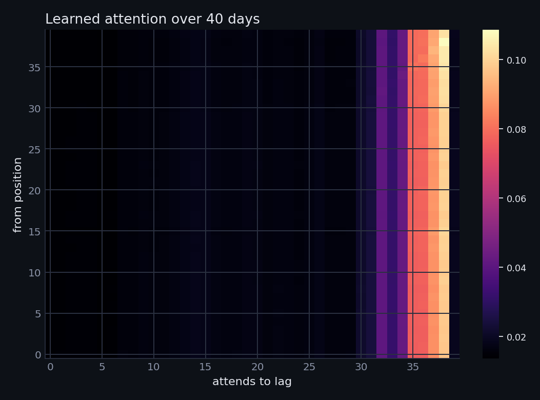 Learned attention weights over a forty day window